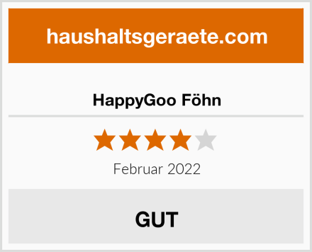  HappyGoo Föhn Test