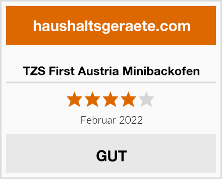  TZS First Austria Minibackofen Test
