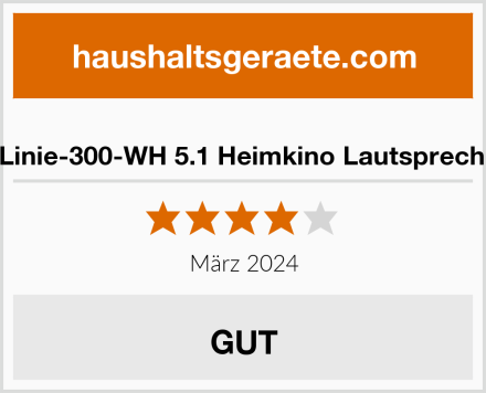  Auna Linie-300-WH 5.1 Heimkino Lautsprecher Set Test