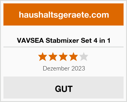  VAVSEA Stabmixer Set 4 in 1 Test