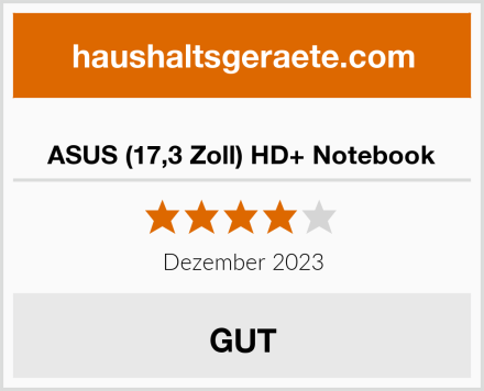  ASUS (17,3 Zoll) HD+ Notebook Test