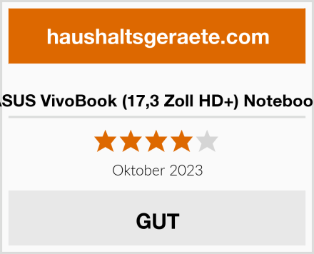  ASUS VivoBook (17,3 Zoll HD+) Notebook Test