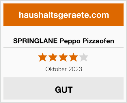  SPRINGLANE Peppo Pizzaofen Test