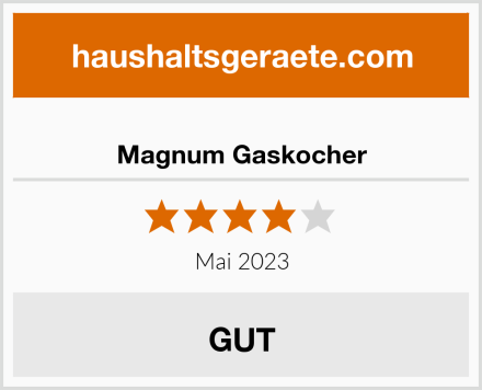  Magnum Gaskocher Test