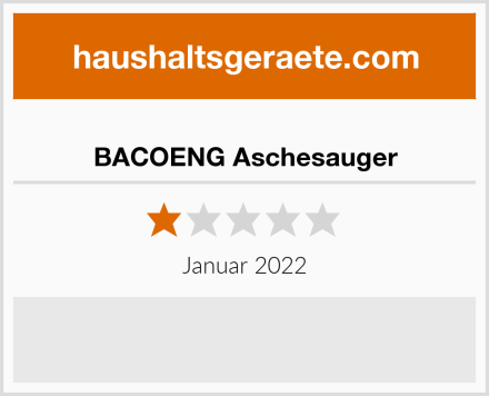  BACOENG Aschesauger Test